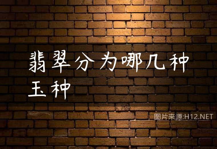 翡翠分为哪几种玉种