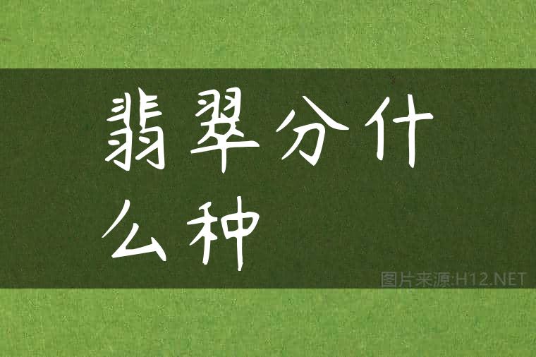翡翠分什么种