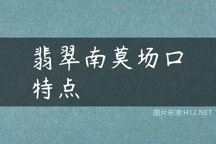 翡翠南莫场口特点