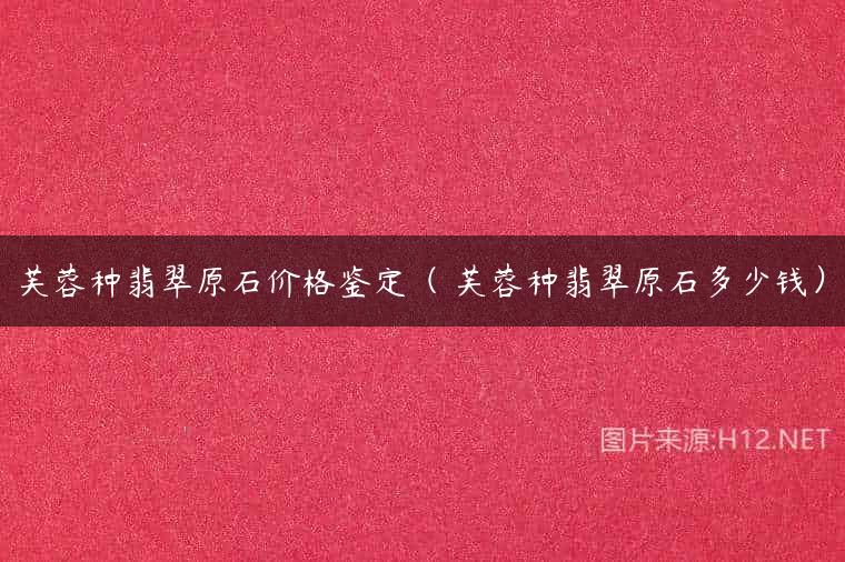 芙蓉种翡翠原石价格鉴定（ 芙蓉种翡翠原石多少钱）