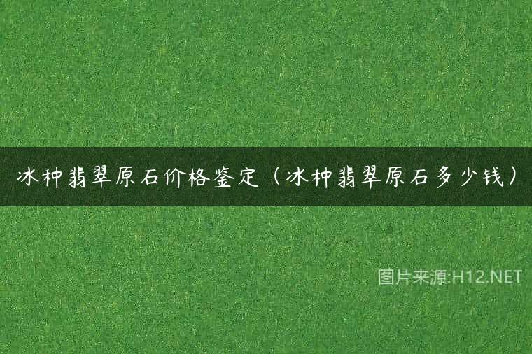冰种翡翠原石价格鉴定（冰种翡翠原石多少钱）