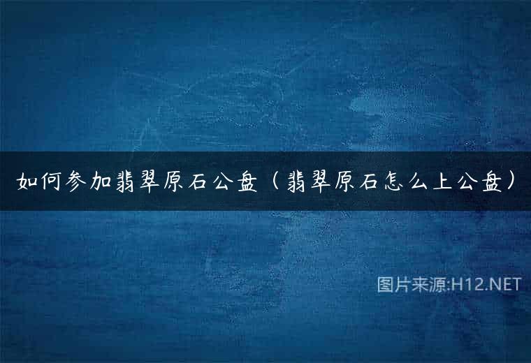 如何参加翡翠原石公盘（翡翠原石怎么上公盘）