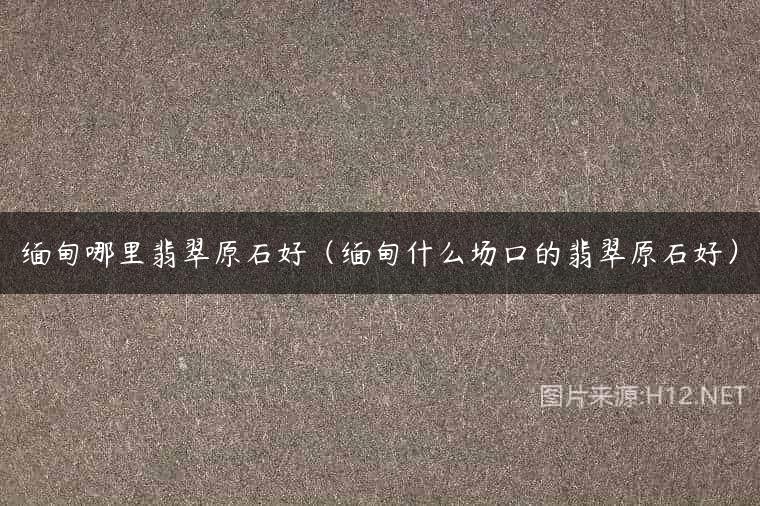 缅甸哪里翡翠原石好（缅甸什么场口的翡翠原石好）