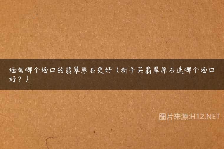 缅甸哪个场口的翡翠原石更好（新手买翡翠原石选哪个场口好？）