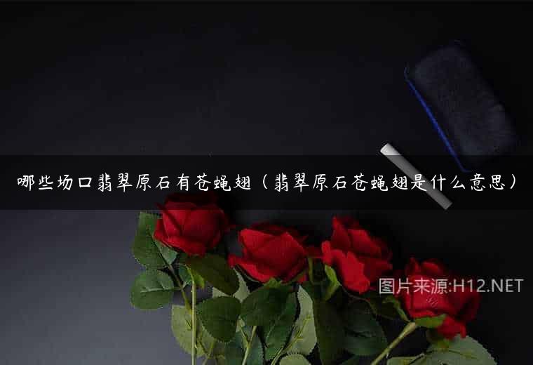 哪些场囗翡翠原石有苍蝇翅（翡翠原石苍蝇翅是什么意思）