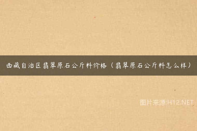 西藏自治区翡翠原石公斤料价格（翡翠原石公斤料怎么样）
