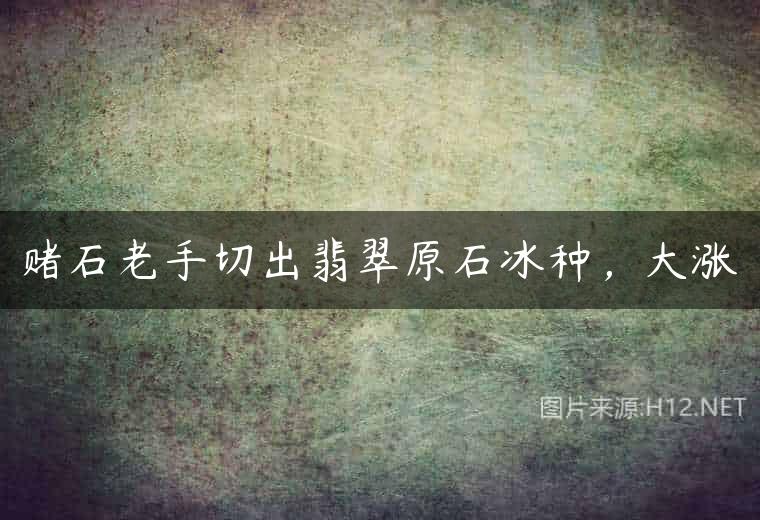 赌石老手切出翡翠原石冰种，大涨