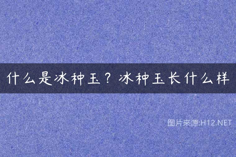 什么是冰种玉？冰种玉长什么样
