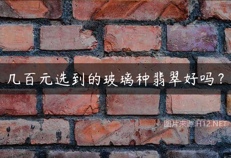 几百元选到的玻璃种翡翠好吗？