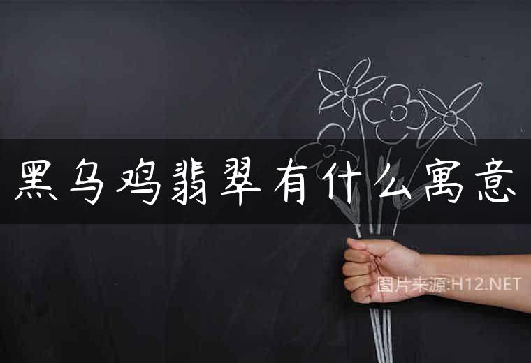 黑乌鸡翡翠有什么寓意