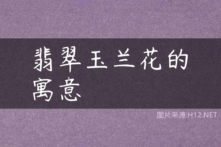 翡翠玉兰花的寓意