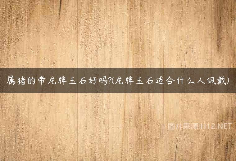 属猪的带龙牌玉石好吗?(龙牌玉石适合什么人佩戴)