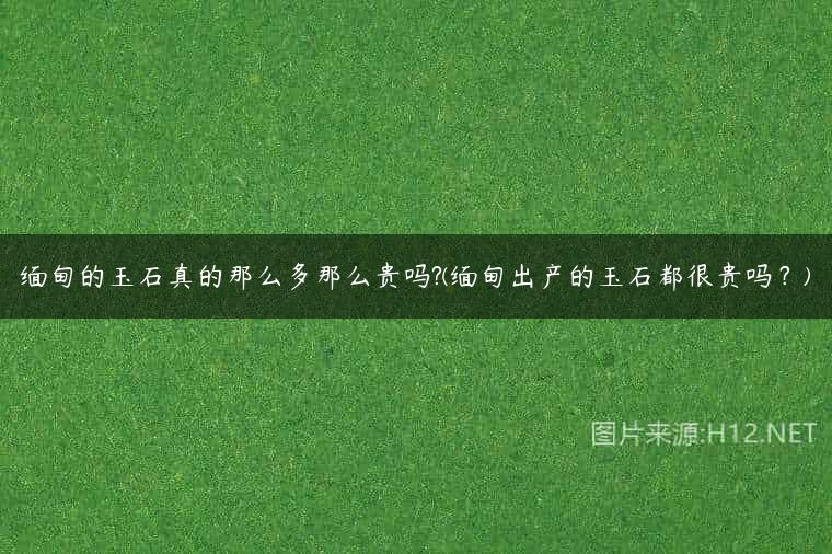 缅甸的玉石真的那么多那么贵吗?(缅甸出产的玉石都很贵吗？)
