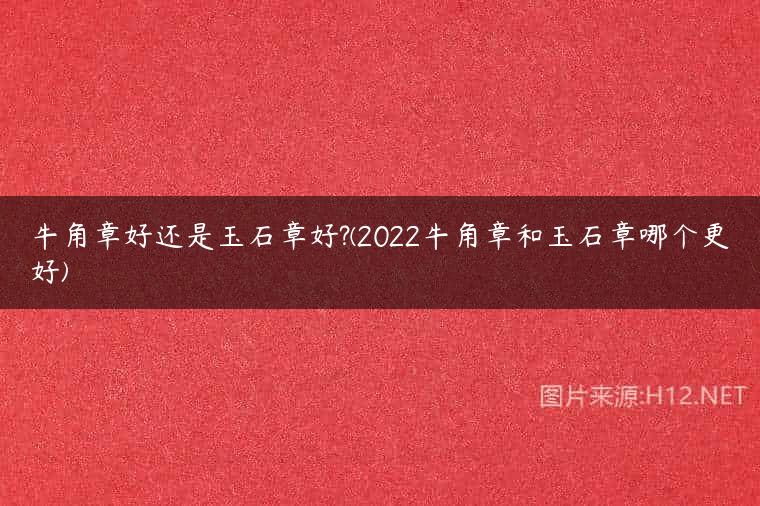 牛角章好还是玉石章好?(2022牛角章和玉石章哪个更好)