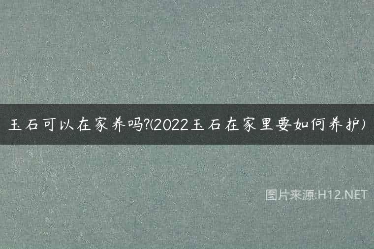 玉石可以在家养吗?(2022玉石在家里要如何养护)