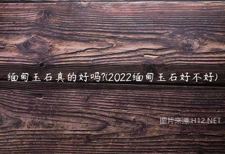 缅甸玉石真的好吗?(2022缅甸玉石好不好)