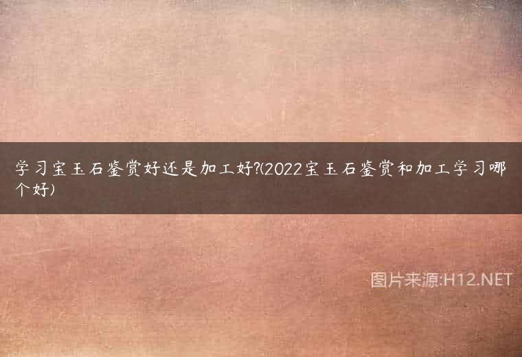 学习宝玉石鉴赏好还是加工好?(2022宝玉石鉴赏和加工学习哪个好)