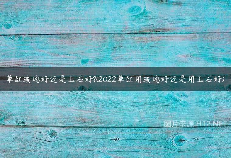 草缸玻璃好还是玉石好?(2022草缸用玻璃好还是用玉石好)