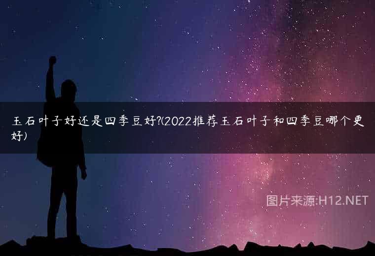 玉石叶子好还是四季豆好?(2022推荐玉石叶子和四季豆哪个更好)