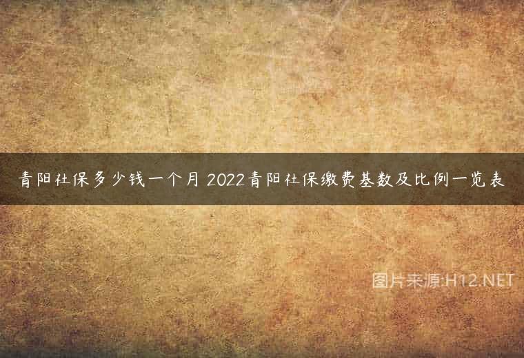 青阳社保多少钱一个月 2022青阳社保缴费基数及比例一览表