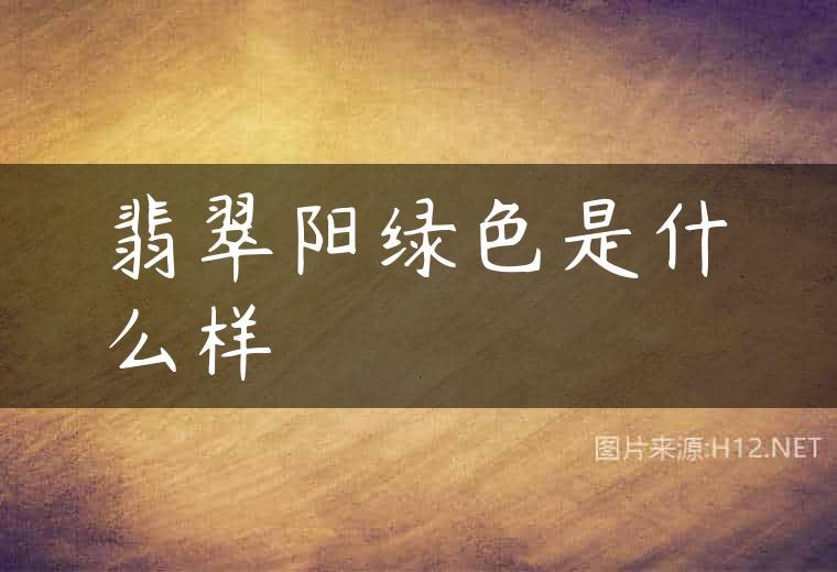 翡翠阳绿色是什么样