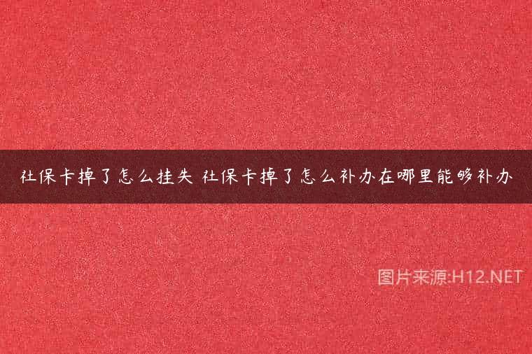 社保卡掉了怎么挂失 社保卡掉了怎么补办在哪里能够补办