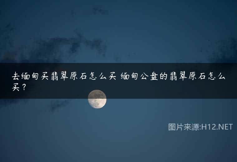 去缅甸买翡翠原石怎么买 缅甸公盘的翡翠原石怎么买？