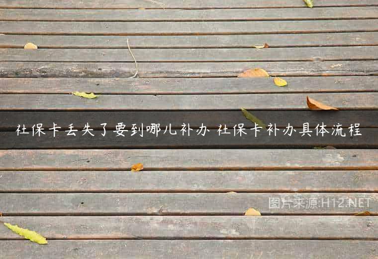 社保卡丢失了要到哪儿补办 社保卡补办具体流程