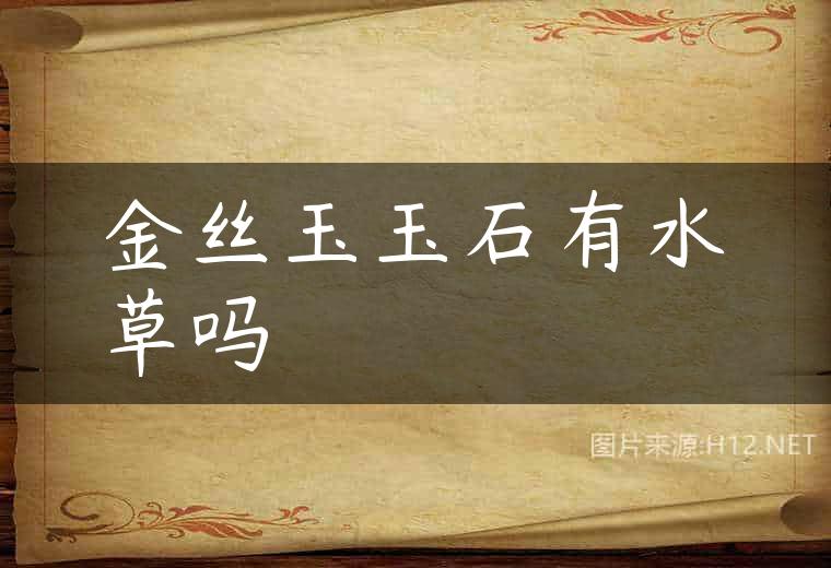 金丝玉玉石有水草吗