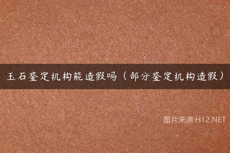 玉石鉴定机构能造假吗（部分鉴定机构造假）