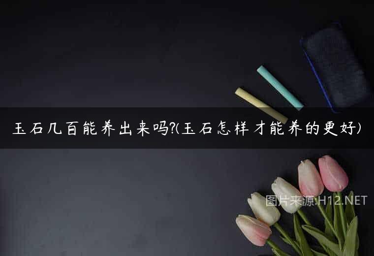 玉石几百能养出来吗?(玉石怎样才能养的更好)