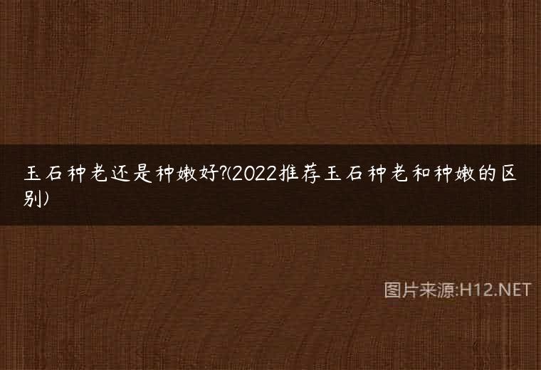 玉石种老还是种嫩好?(2022推荐玉石种老和种嫩的区别)