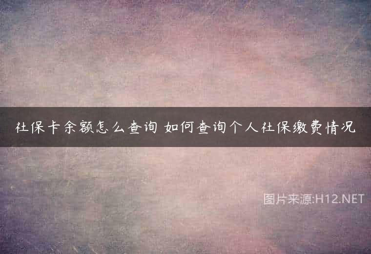 社保卡余额怎么查询 如何查询个人社保缴费情况