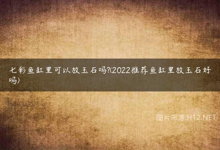 七彩鱼缸里可以放玉石吗?(2022推荐鱼缸里放玉石好吗)