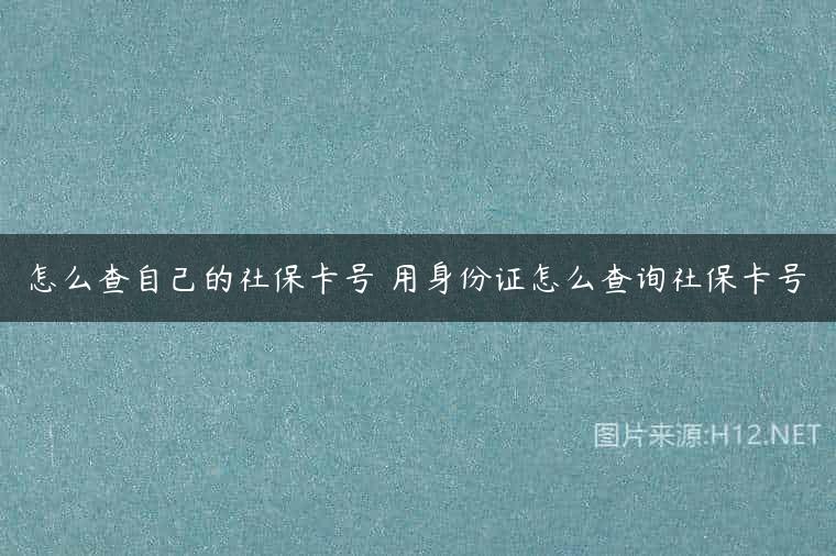 怎么查自己的社保卡号 用身份证怎么查询社保卡号