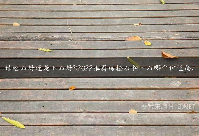 绿松石好还是玉石好?(2022推荐绿松石和玉石哪个价值高)
