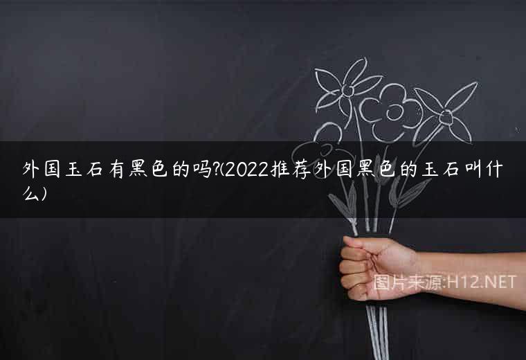 外国玉石有黑色的吗?(2022推荐外国黑色的玉石叫什么)