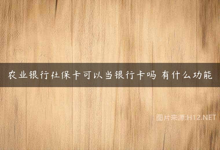 农业银行社保卡可以当银行卡吗 有什么功能