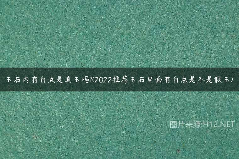 玉石内有白点是真玉吗?(2022推荐玉石里面有白点是不是假玉)