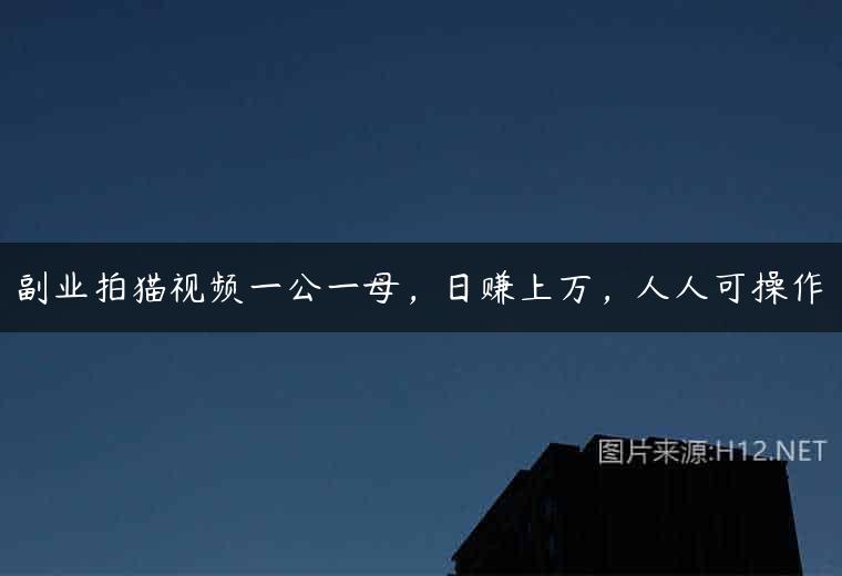 副业拍猫视频一公一母，日赚上万，人人可操作