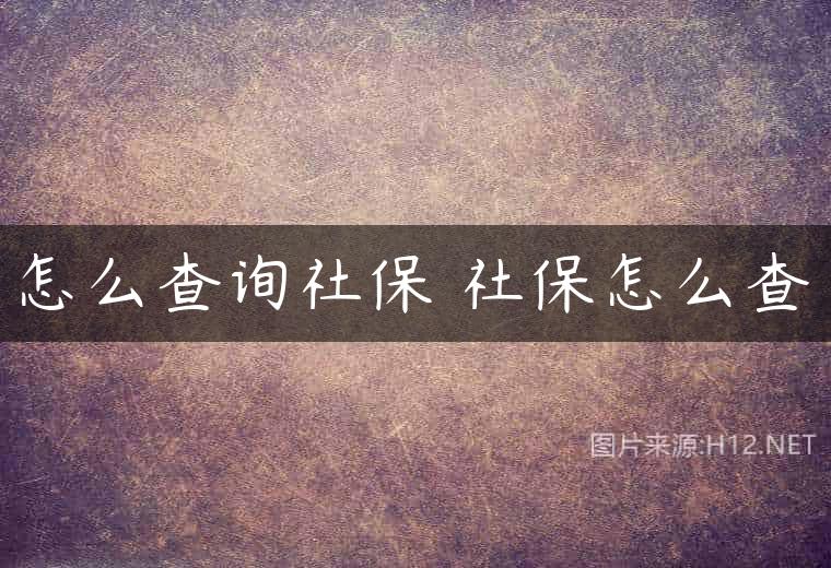 怎么查询社保 社保怎么查