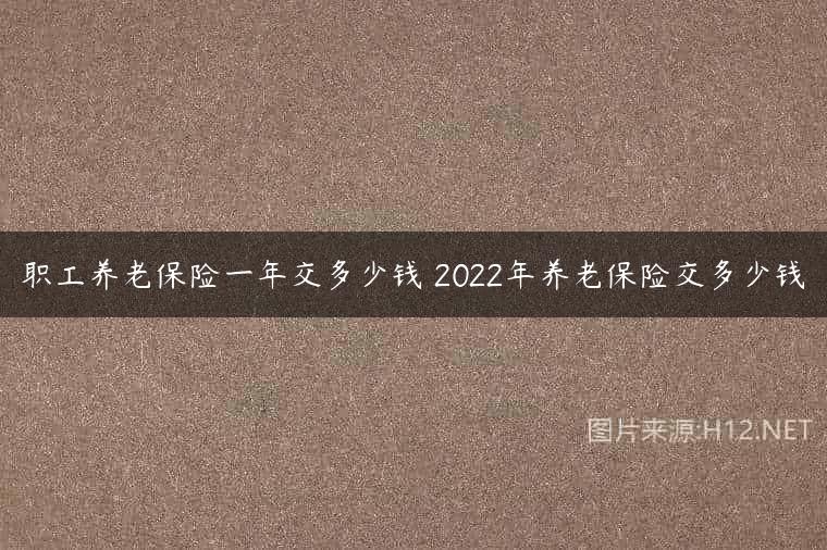 职工养老保险一年交多少钱 2022年养老保险交多少钱