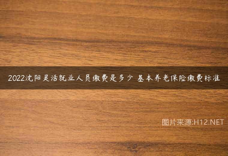 2022沈阳灵活就业人员缴费是多少 基本养老保险缴费标准