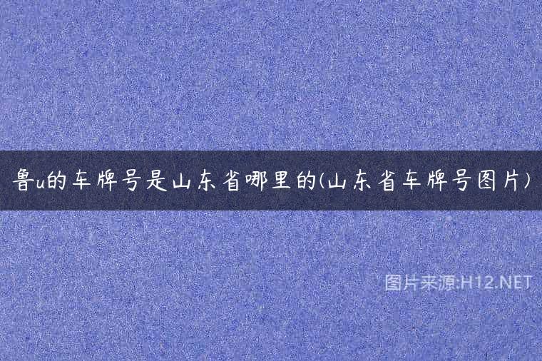鲁u的车牌号是山东省哪里的(山东省车牌号图片)