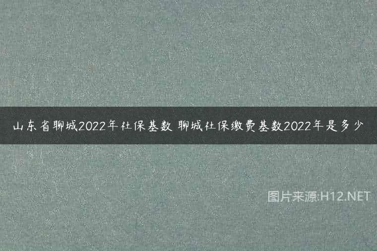 山东省聊城2022年社保基数 聊城社保缴费基数2022年是多少