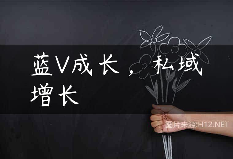 蓝V成长，私域增长