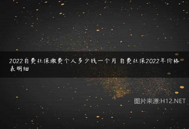 2022自费社保缴费个人多少钱一个月 自费社保2022年价格表明细