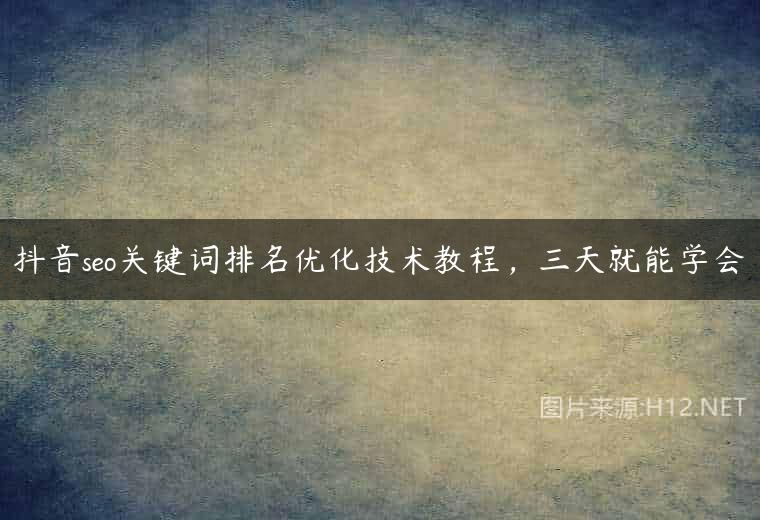 抖音seo关键词排名优化技术教程，三天就能学会