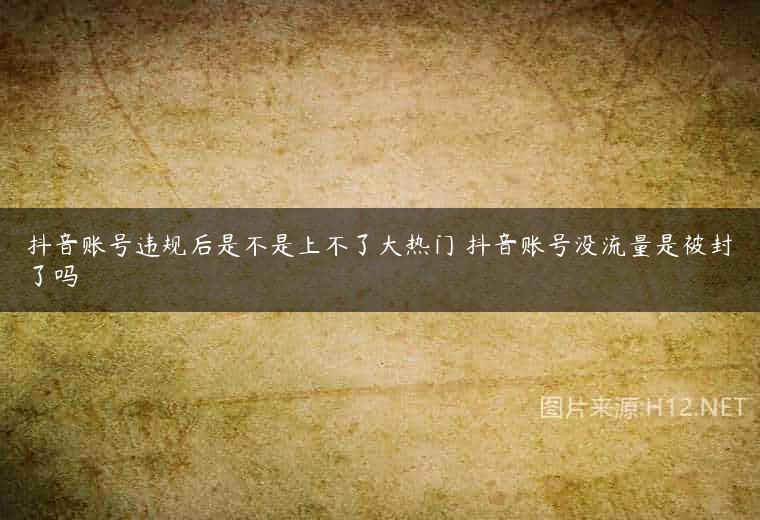抖音账号违规后是不是上不了大热门 抖音账号没流量是被封了吗