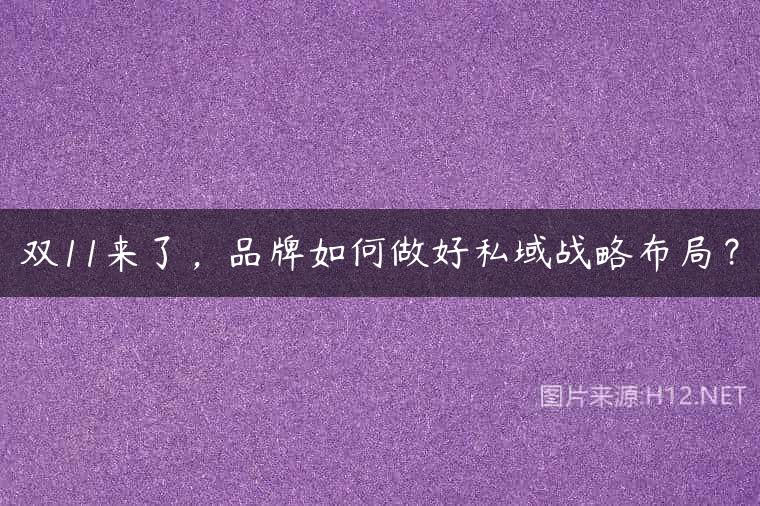 双11来了，品牌如何做好私域战略布局？